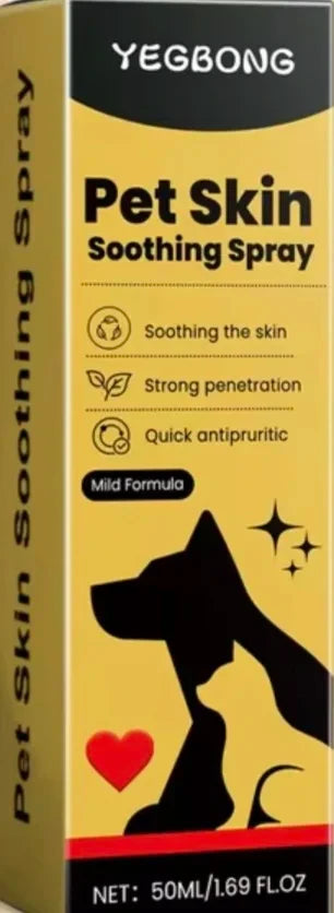 Review Card