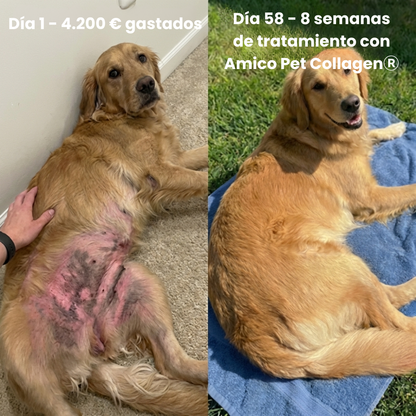 Colagénio líquido para animais de estimação da Kaddur®